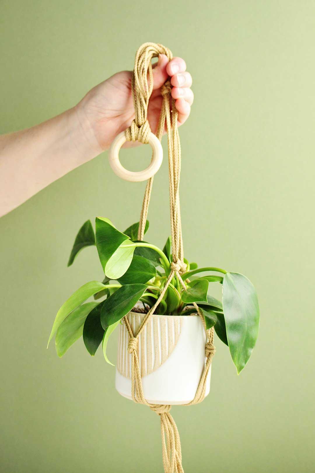 Macrame Plant Hanger
